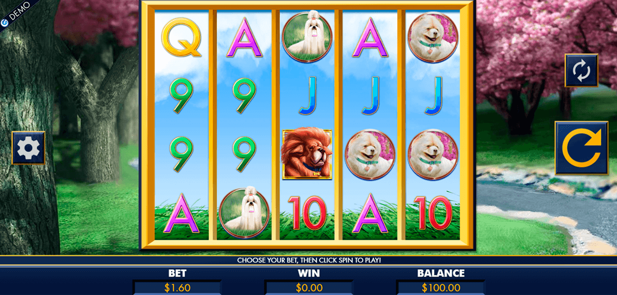 A Bark in the Park slots game by Genesis Gaming is a fun canine adventure filled with doggy-themed symbols and images.The game is set in a fictional park and is filled with lots of cute dogs just waiting to play with you.Get set to talk your doggy friend for a trot around the reels and see what wins you can land/5(1). Players can play A bark in the park using their Desktop, Tablet, Mobile.A bark in the park payout percentage is %.You can play online using bets from $ to $80 maximum.How to Play A bark in the park for Fun.You can play A bark in the park without restrictions in demo mode on our website.You do not need to register, make a deposit, or download any software/10().