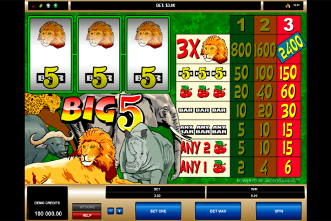 Big 5 Microgaming Casino Slots 