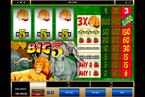 Big 5 Microgaming Casino Slots