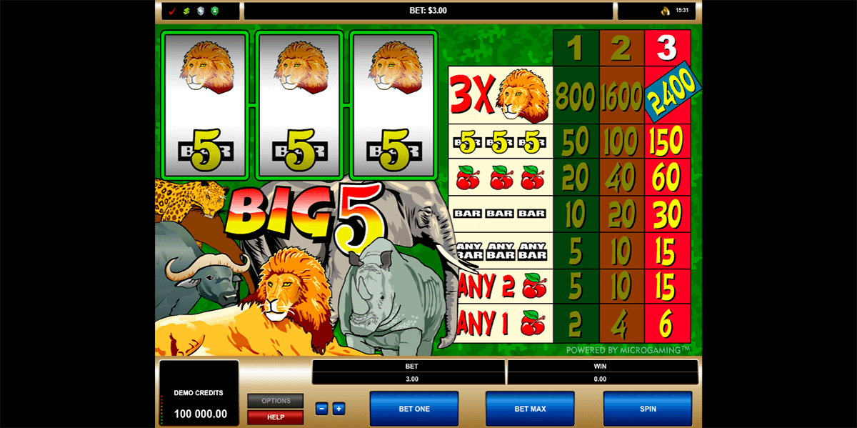 big 5 microgaming casino slots 