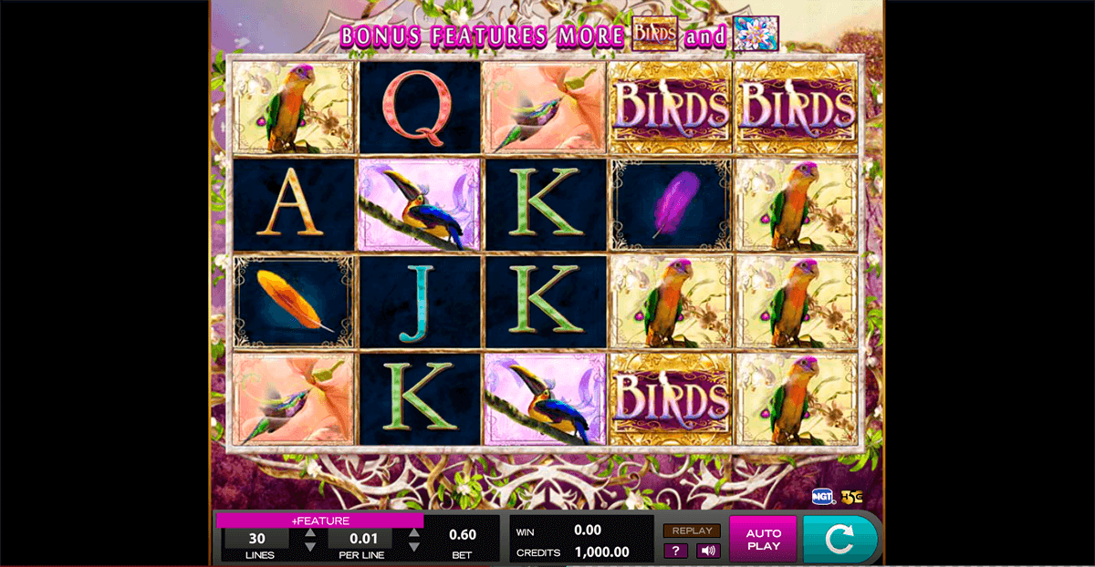 Birds of wonder high5 casino slots igre reviews zip