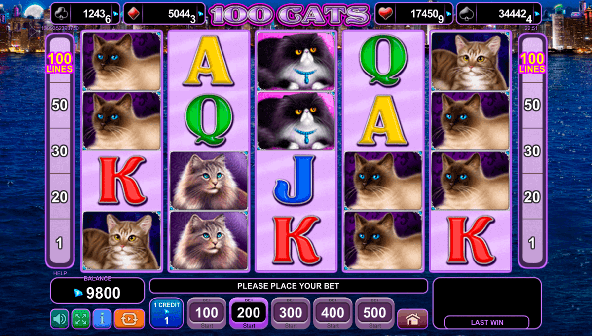 Play free slots cats