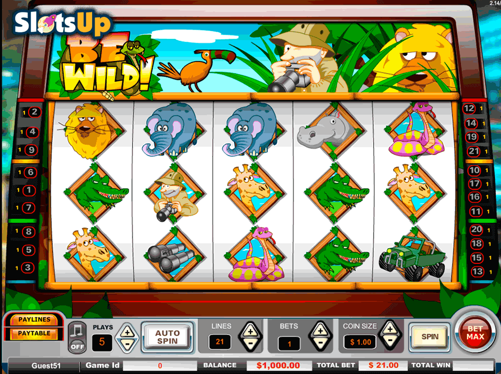 be wild vista gaming casino slots 