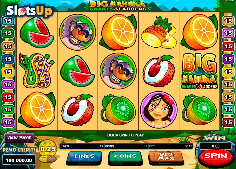 Big kahuna microgaming casino slots fortune