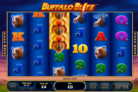 Buffalo Blitz Playtech
