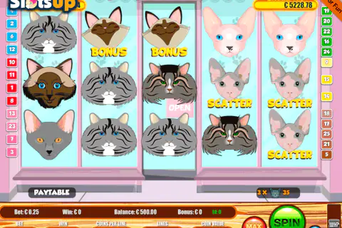 CATS PORTOMASO CASINO SLOTS
