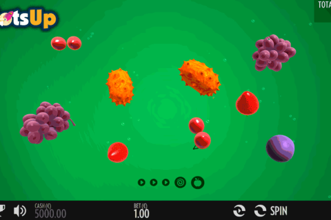 FRUIT WARP THUNDERKICK CASINO SLOTS