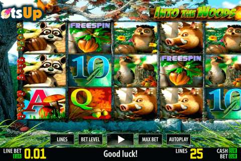 INTO THE WOODS HD WORLD MATCH CASINO SLOTS