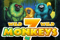 7 MONKEYS PRAGMATIC