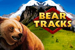 Manufacturer tournaments bear tracks novomatic casino slots store park Tournament bear tracks novomatic casino slots racing