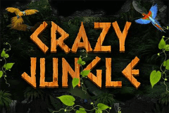 CRAZY JUNGLE PRAGMATIC
