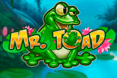 MR TOAD PLAYN GO SLOT GAME