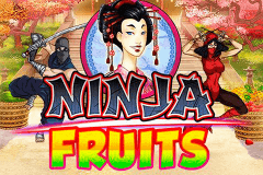 NINJA FRUITS PLAYN GO SLOT GAME 