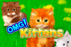 OMG KITTENS WMS SLOT GAME