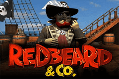 Redbeard Co Pragmatic