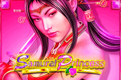 SAMURAI PRINCESS LIGHTNING BOX SLOT GAME 