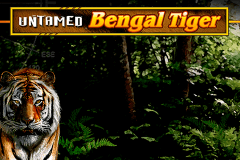 UNTAMED BENGAL TIGER MICROGAMING SLOT GAME