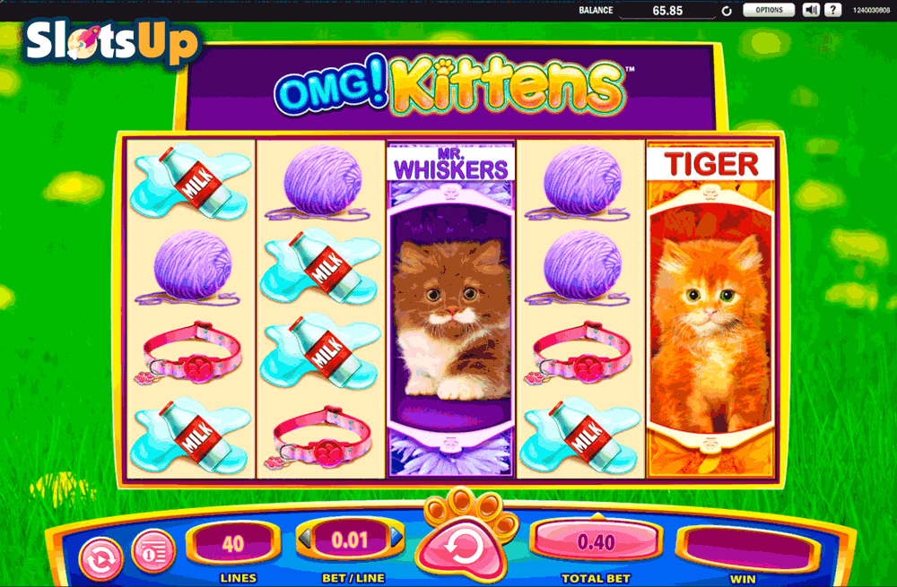 Omg Kittens Slot Omg Kittens Slot