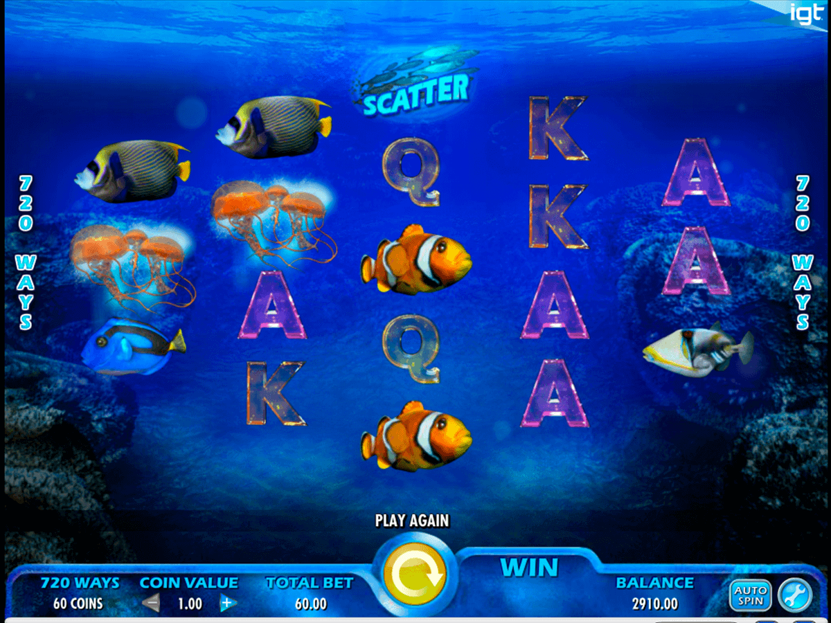 Playamo 27 Casino Playamo 27 Casino