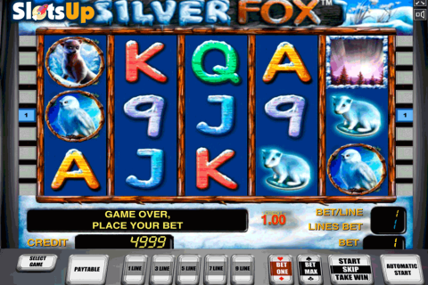 Silver Fox Novomatic Casino Slots