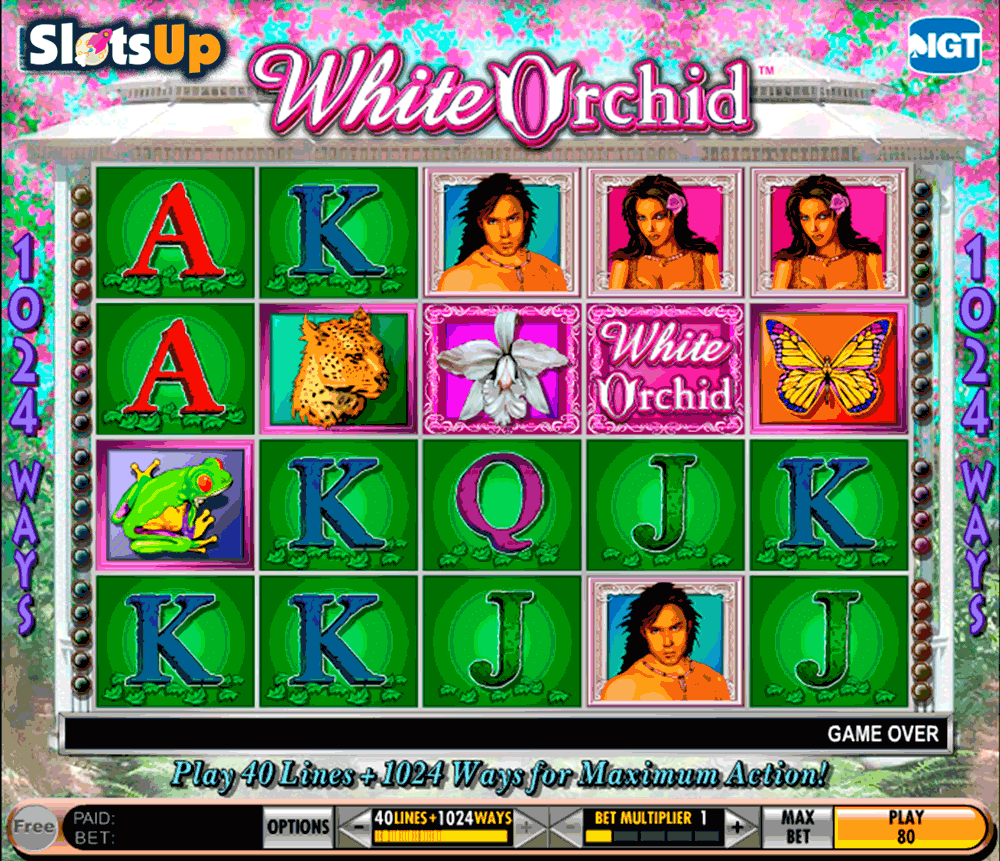 white orchid slot machine free