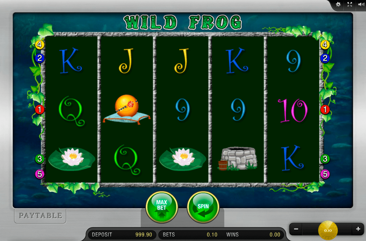 wild frog merkur casino slots 