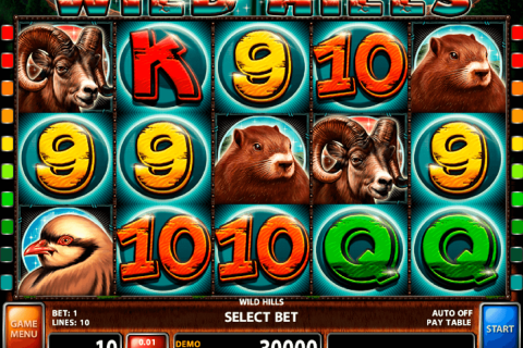 WILD HILLS CASINO TECHNOLOGY SLOT MACHINE