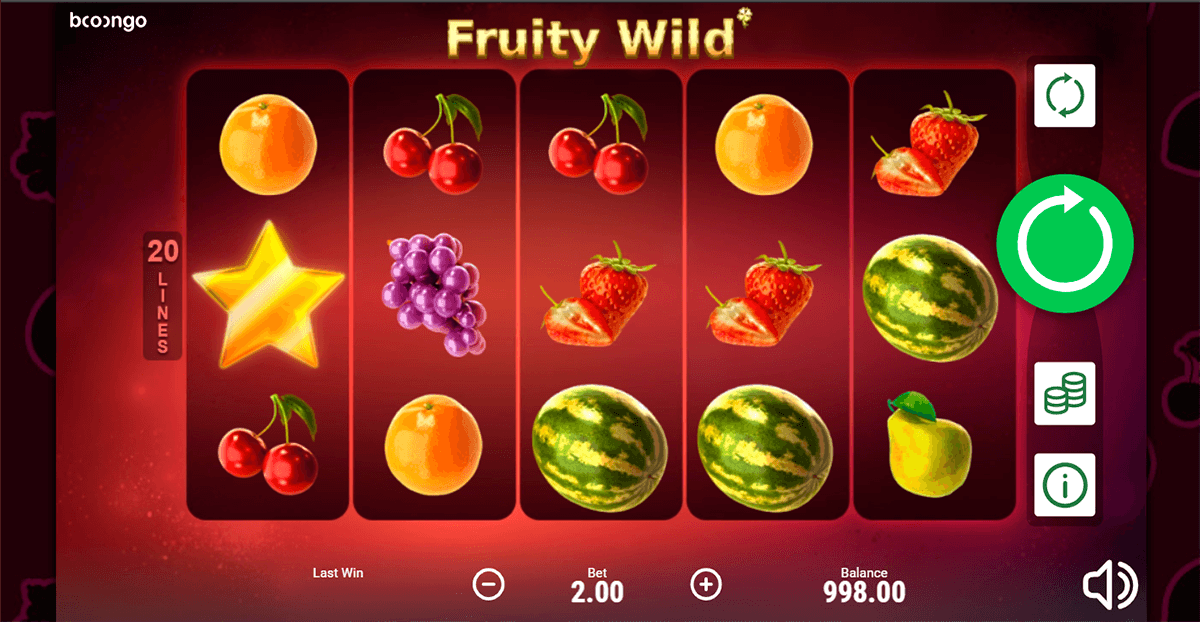 fruity wild booongo casino slots 