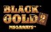 Black Gold 2 Megaways Stake Logic Slot Game 