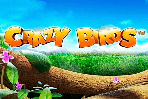 Crazy Birds Novomatic Slot Game