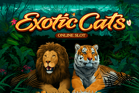 EXOTIC CATS MICROGAMING SLOT GAME 