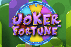 JOKER FORTUNE STAKE LOGIC SLOT GAME