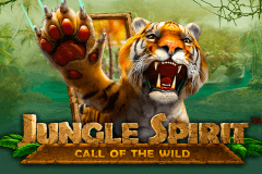 Crystal forest slot machine bonus winner
