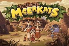 Meet The Meerkats Push Gaming Slot Game