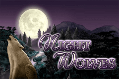 NIGHT WOLVES BALLY WULFF SLOT GAME