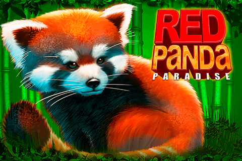 Spiele Red Panda Paradise - Video Slots Online Spiele Red Panda Paradise - Video Slots Online