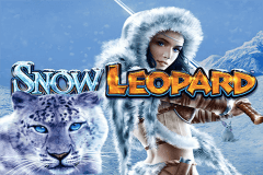 Leopard Spots Slot Machine Leopard Spots Slot Machine