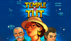 Temple Of Tut Microgaming Slot Game 