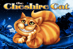 Omg Kittens Free Slot Machine Omg Kittens Free Slot Machine