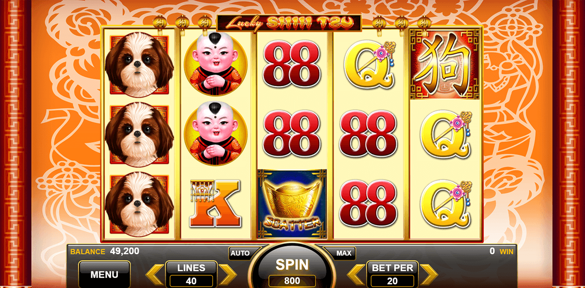 lucky shih tzu spin games casino slots 