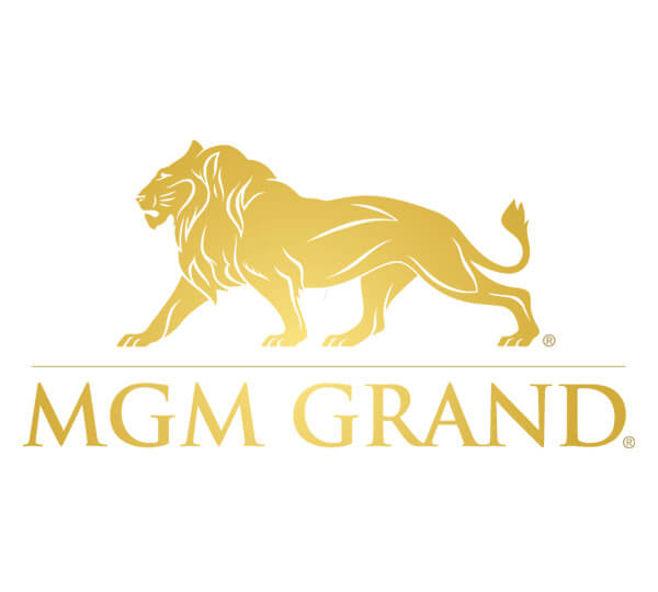 MGM GRAND DETROIT CASINO 