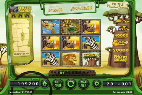 SAFARI MAGNET GAMING CASINO SLOTS