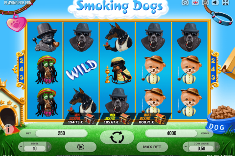 SMOKING DOGS FUGASO CASINO SLOTS