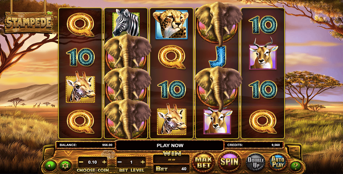 Indian Slot machines online african stampede - 