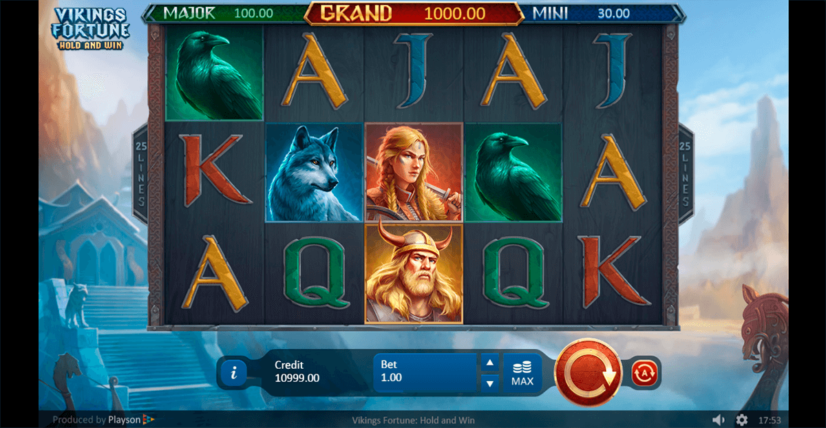 vikings fortune hold and win playson casino slots 