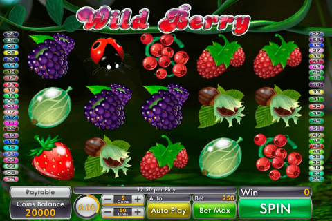 WILD BERRY GENII CASINO SLOTS